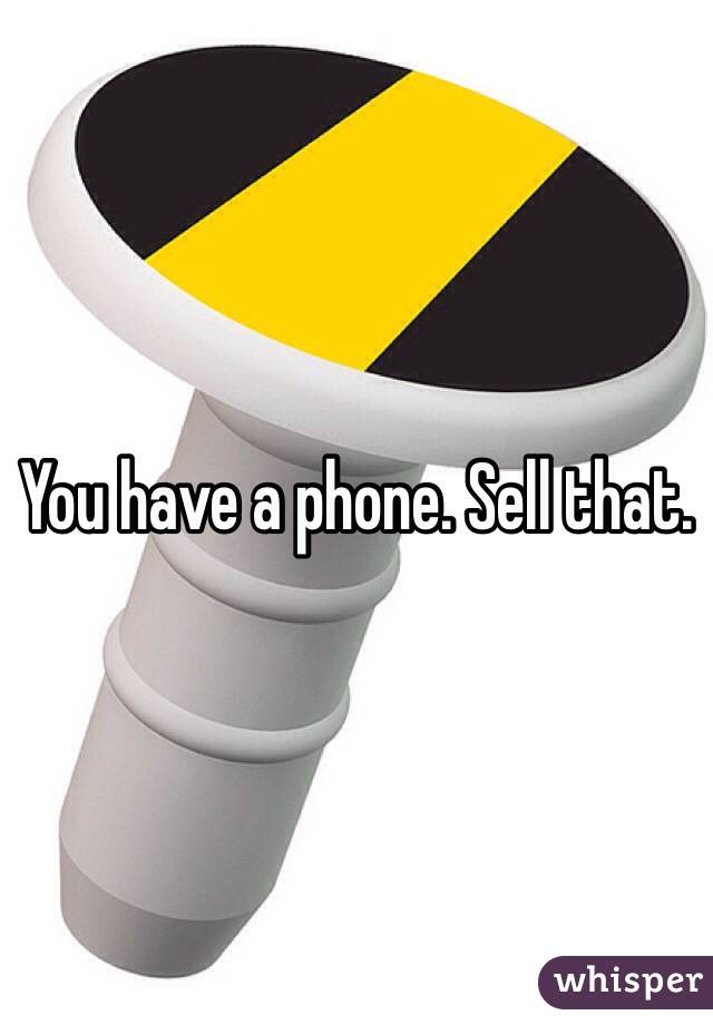 You have a phone. Sell that. 