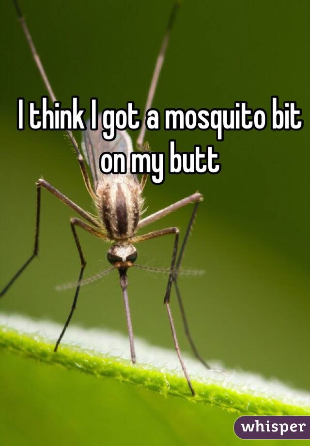 I think I got a mosquito bit on my butt