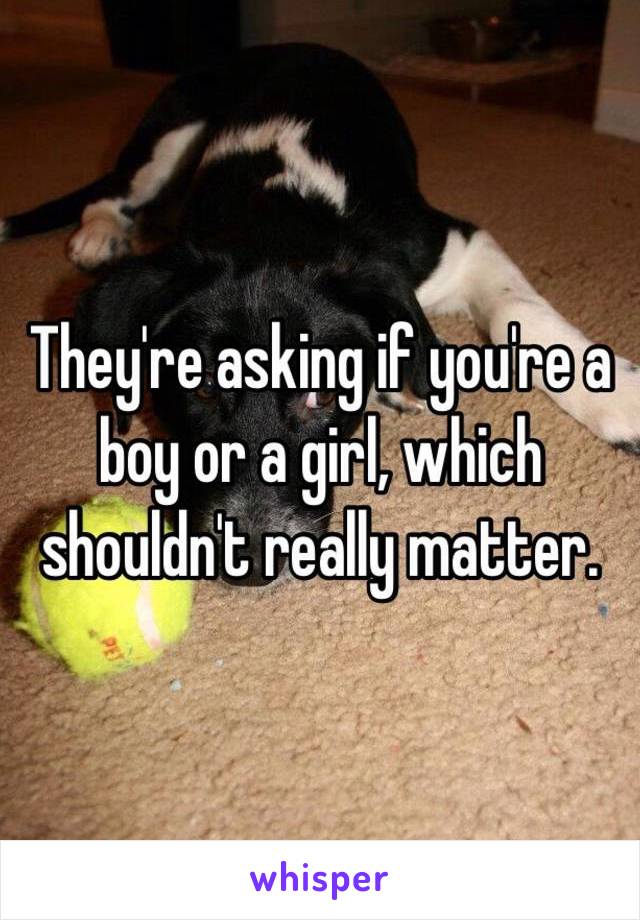 They're asking if you're a boy or a girl, which shouldn't really matter.