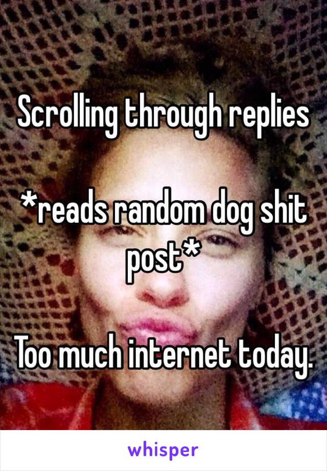 Scrolling through replies 

*reads random dog shit post*

Too much internet today. 