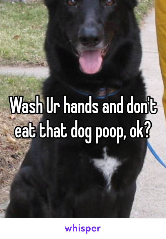 Wash Ur hands and don't eat that dog poop, ok? 