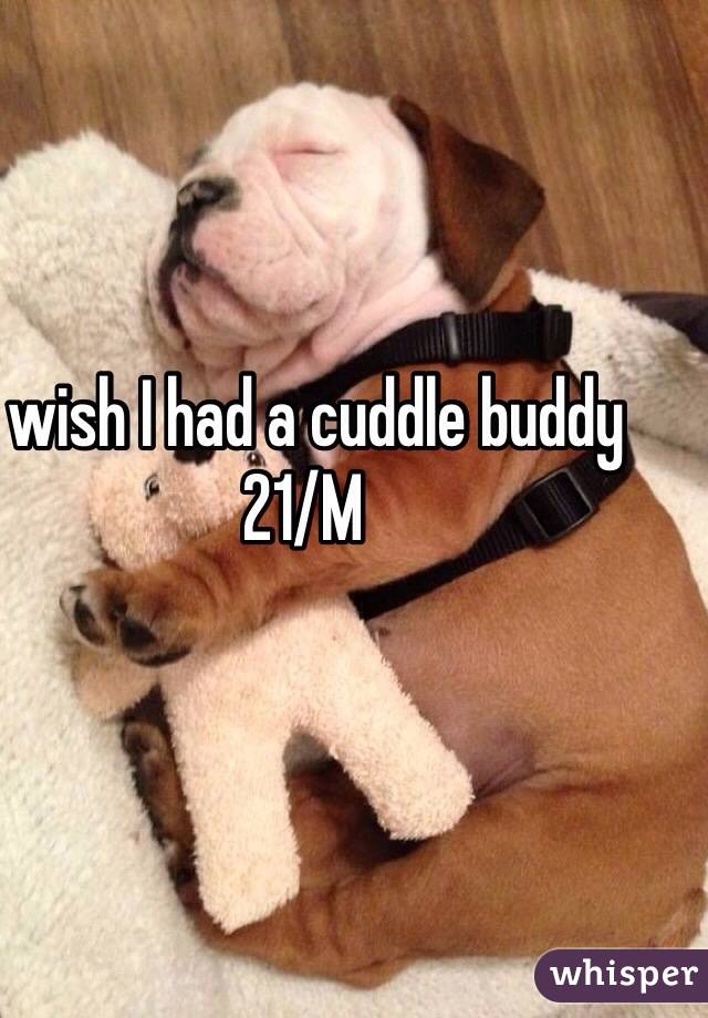 I wish I had a cuddle buddy 
21/M