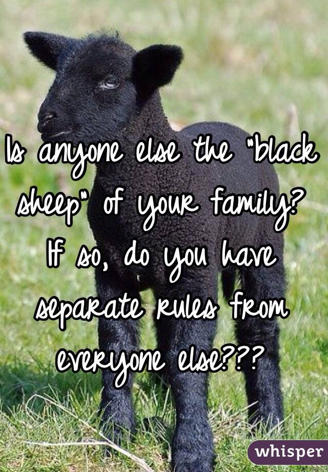 Is anyone else the "black sheep" of your family? If so, do you have separate rules from everyone else??? 