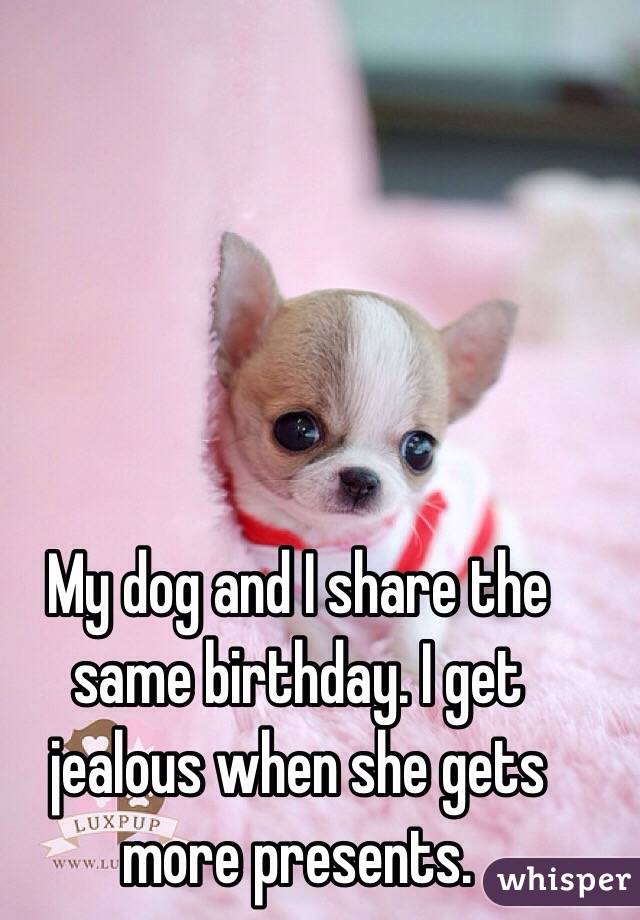 My dog and I share the same birthday. I get jealous when she gets more presents.