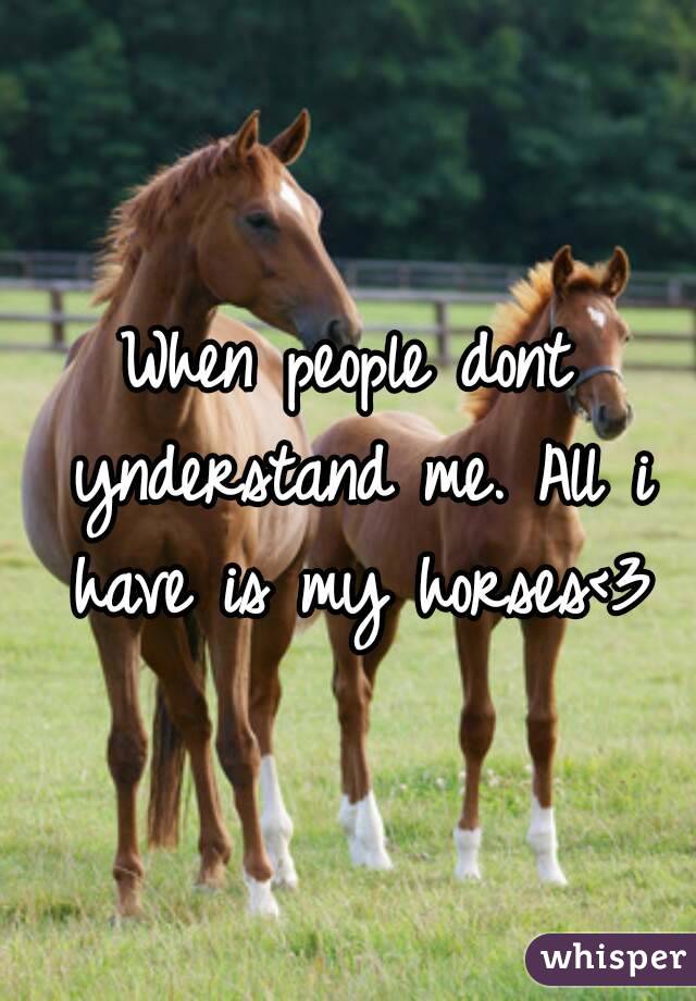 When people dont ynderstand me. All i have is my horses<3