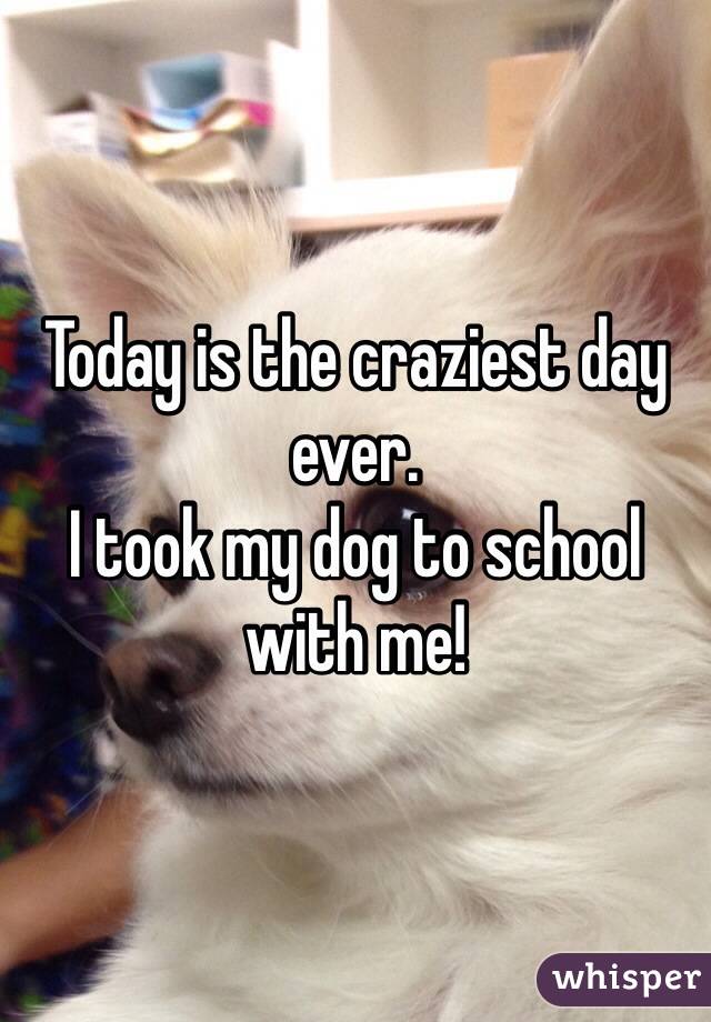 Today is the craziest day ever.
I took my dog to school with me!