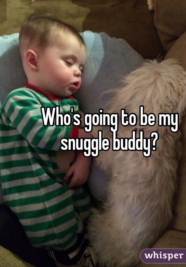 Who's going to be my snuggle buddy?