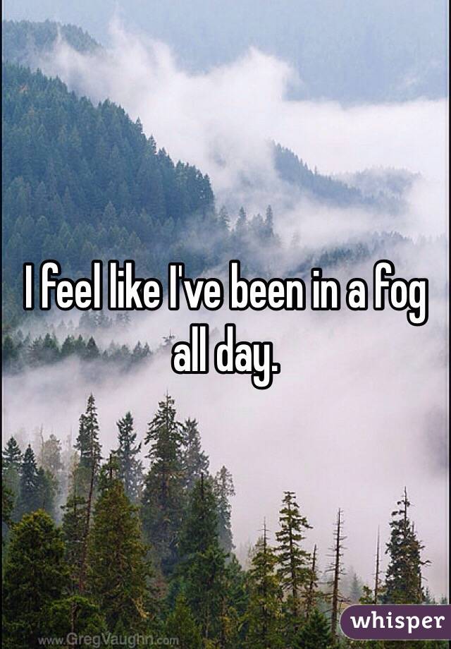 I feel like I've been in a fog all day. 