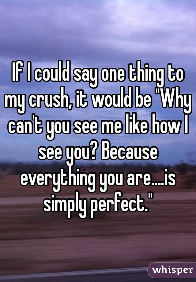 If I could say one thing to my crush, it would be "Why can't you see me like how I see you? Because everything you are....is simply perfect."