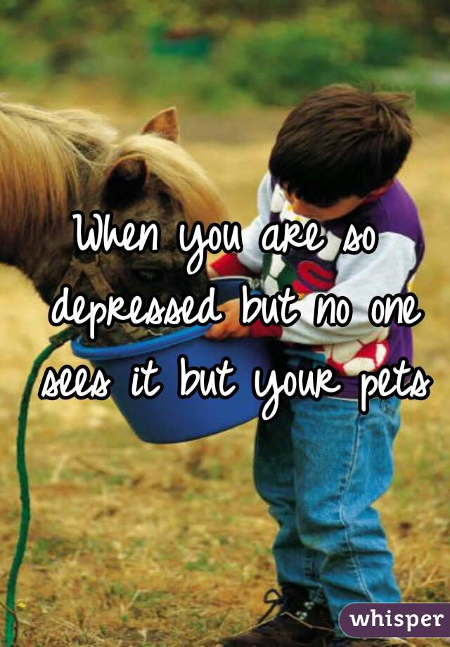 When you are so depressed but no one sees it but your pets