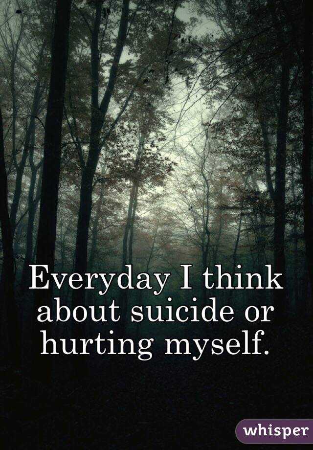Everyday I think about suicide or hurting myself. 
