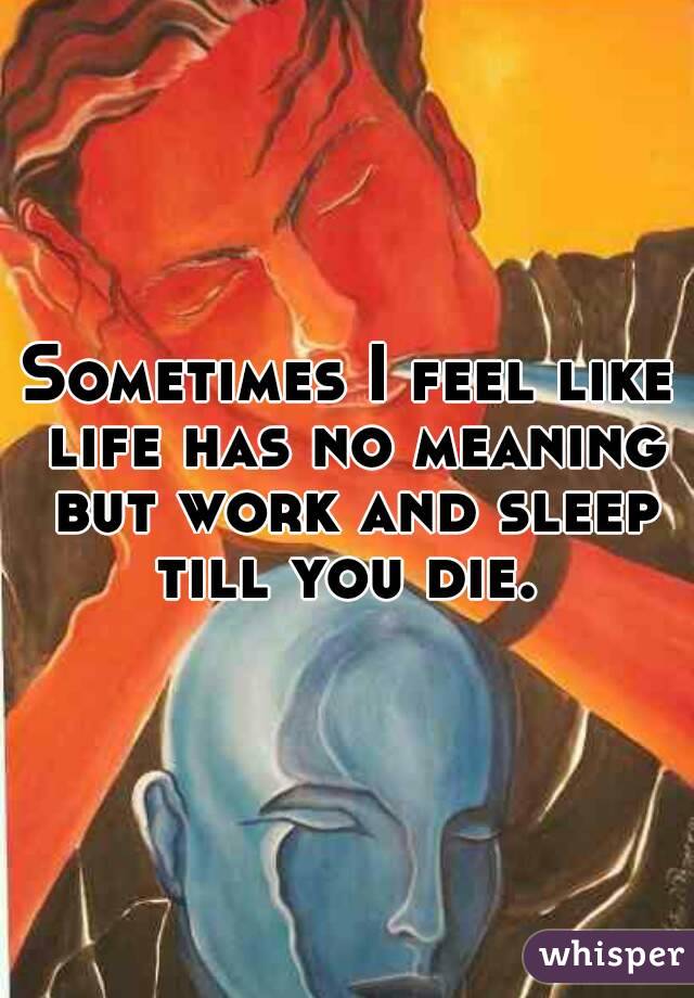 Sometimes I feel like life has no meaning but work and sleep till you die. 
