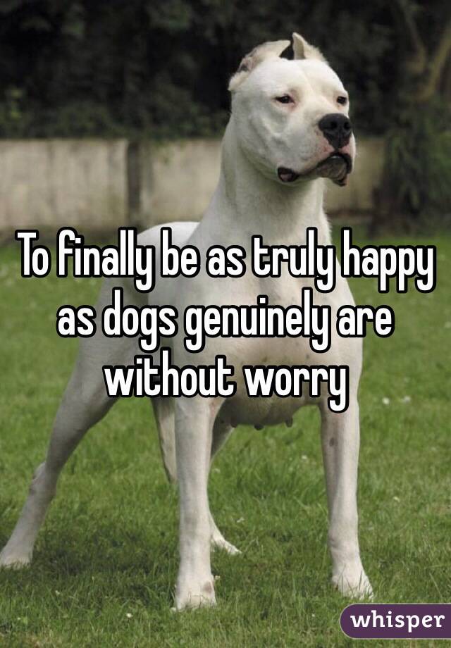 To finally be as truly happy as dogs genuinely are without worry 