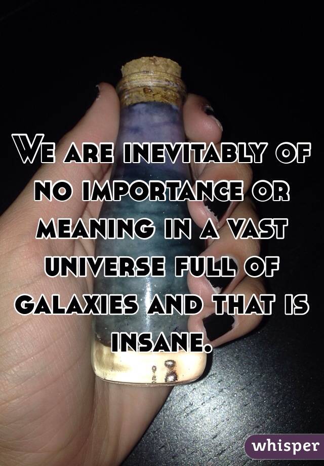 We are inevitably of no importance or meaning in a vast universe full of galaxies and that is insane.  