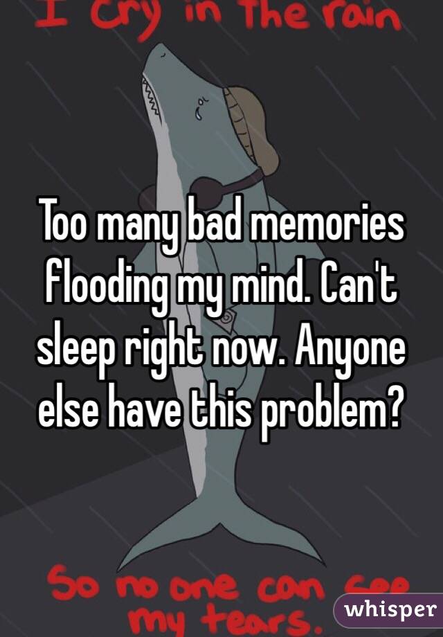 Too many bad memories flooding my mind. Can't sleep right now. Anyone else have this problem?