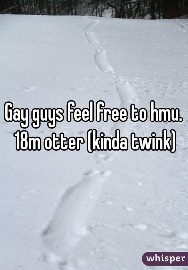 Gay guys feel free to hmu. 18m otter (kinda twink)