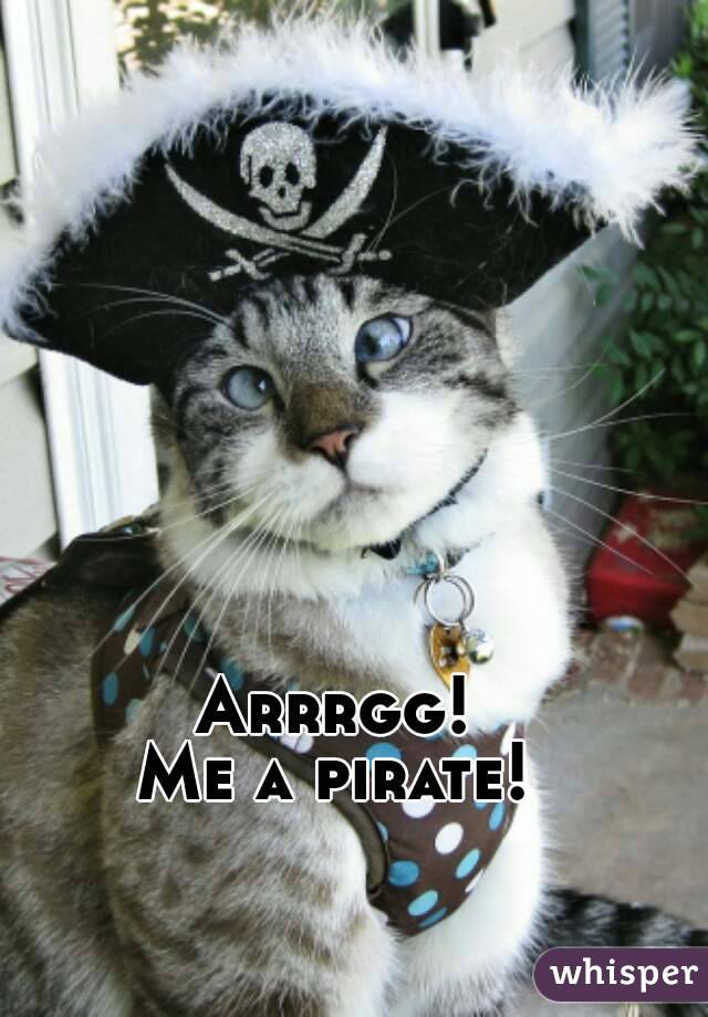 Arrrgg!
Me a pirate!