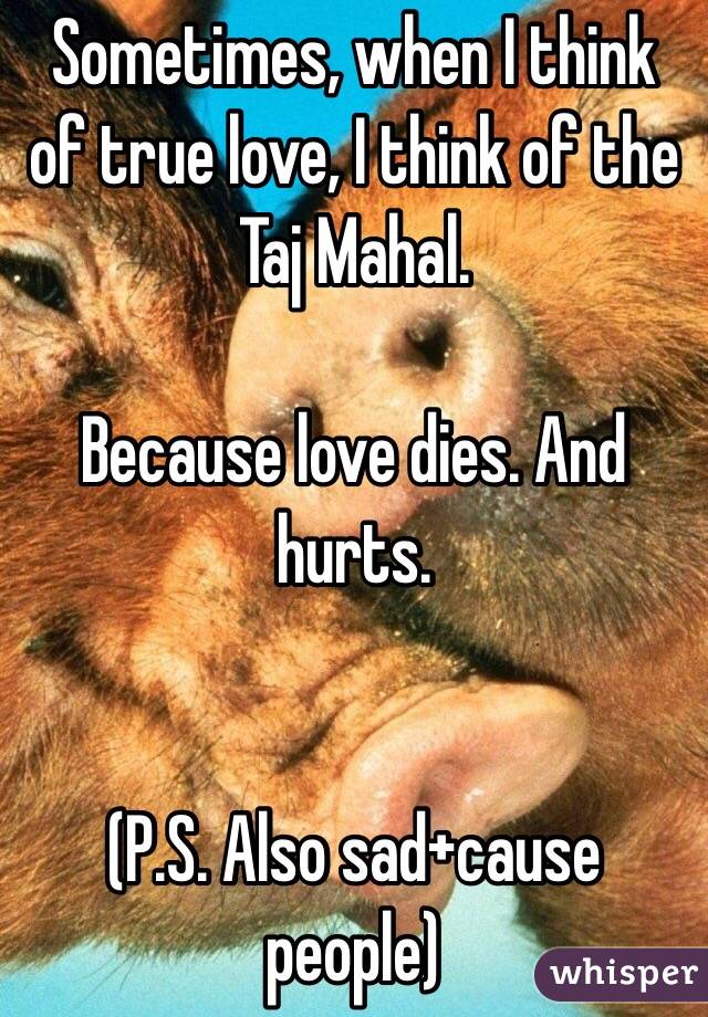 Sometimes, when I think of true love, I think of the Taj Mahal. 

Because love dies. And hurts. 


(P.S. Also sad+cause people)