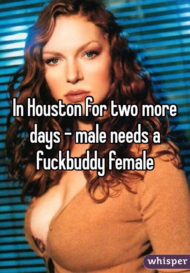 In Houston for two more days - male needs a fuckbuddy female