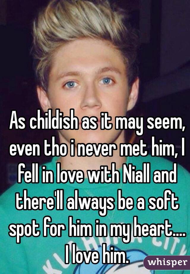 As childish as it may seem, even tho i never met him, I fell in love with Niall and there'll always be a soft spot for him in my heart.... I love him. 