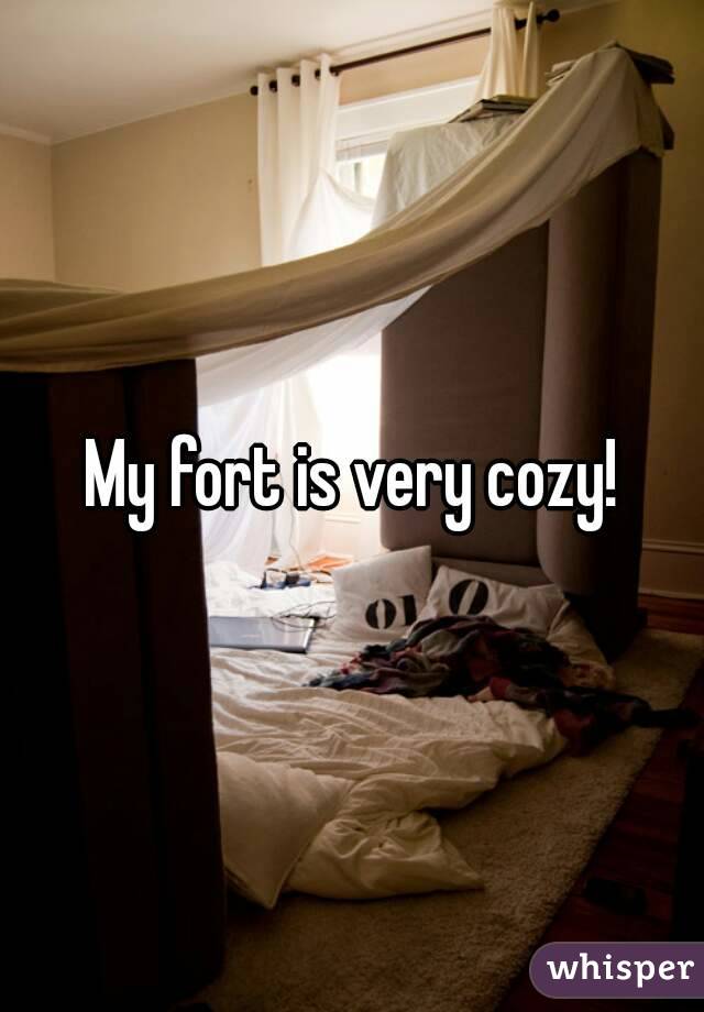 My fort is very cozy!