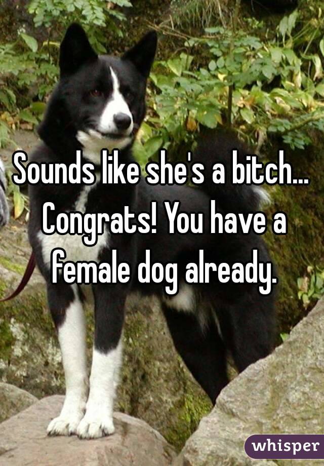 Sounds like she's a bitch... Congrats! You have a female dog already.