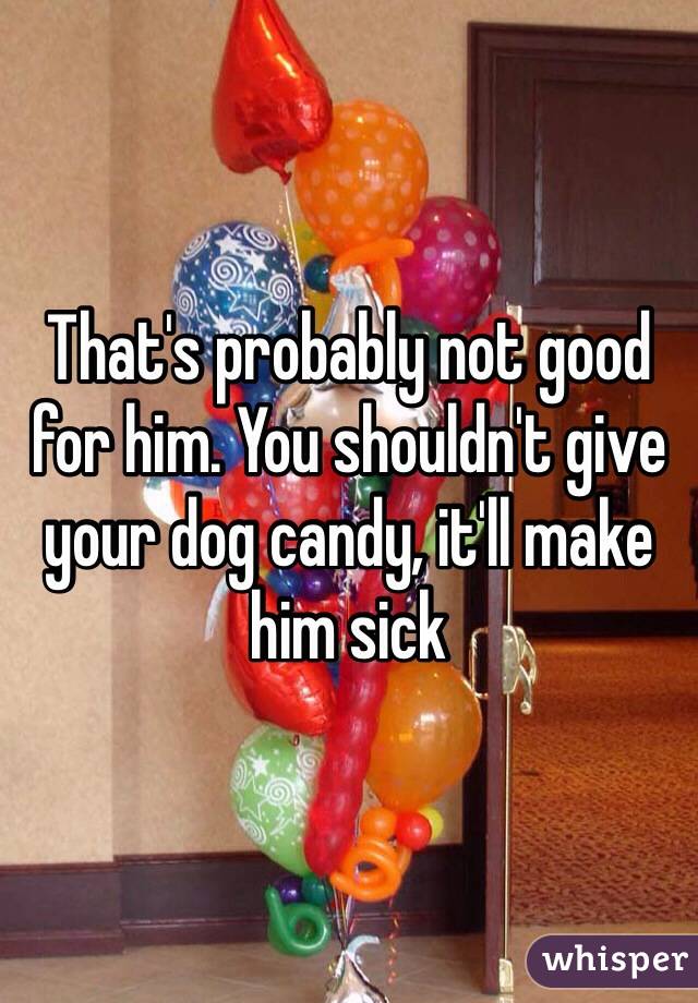 That's probably not good for him. You shouldn't give your dog candy, it'll make him sick