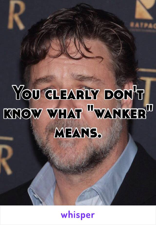 You clearly don't know what "wanker" means.