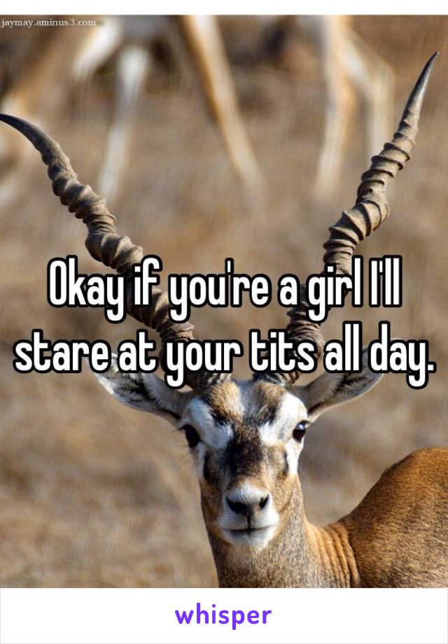 Okay if you're a girl I'll stare at your tits all day.
