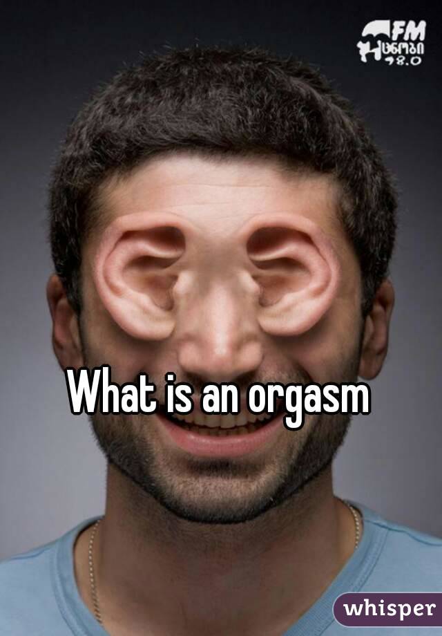 What is an orgasm 