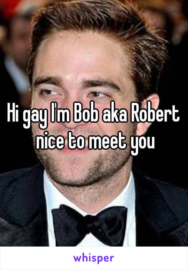 Hi gay I'm Bob aka Robert nice to meet you