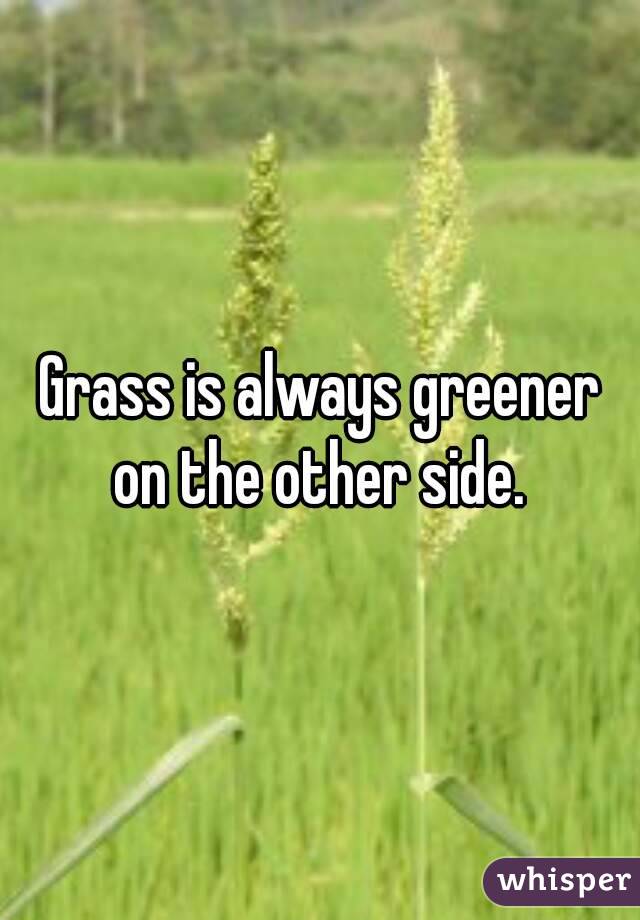 Grass is always greener on the other side. 