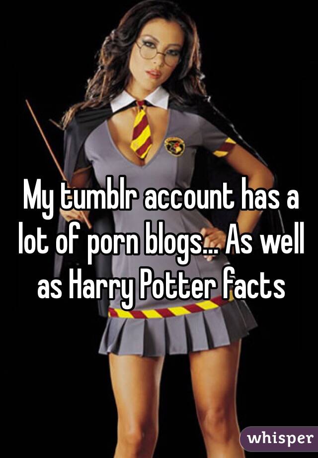 My tumblr account has a lot of porn blogs... As well as Harry Potter facts