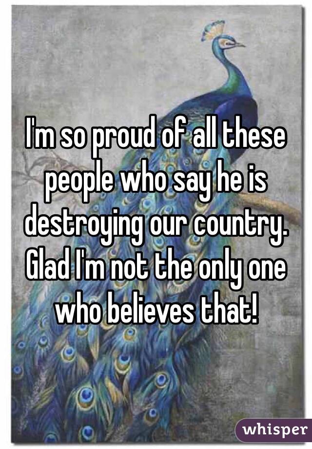 I'm so proud of all these people who say he is destroying our country. Glad I'm not the only one who believes that!