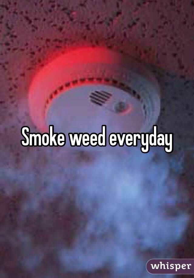 Smoke weed everyday 