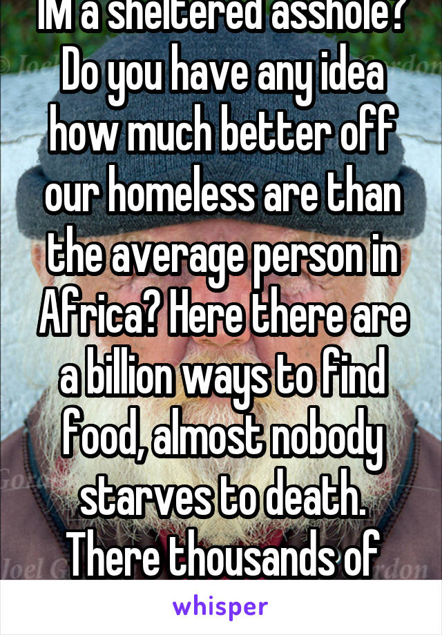 IM a sheltered asshole? Do you have any idea how much better off our homeless are than the average person in Africa? Here there are a billion ways to find food, almost nobody starves to death. There thousands of children 