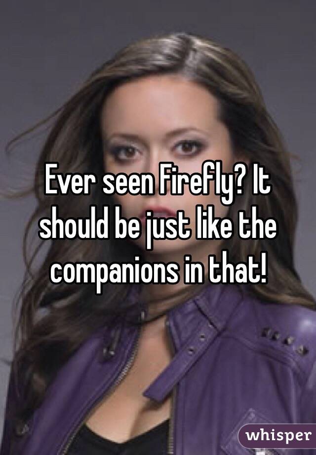 Ever seen Firefly? It should be just like the companions in that!