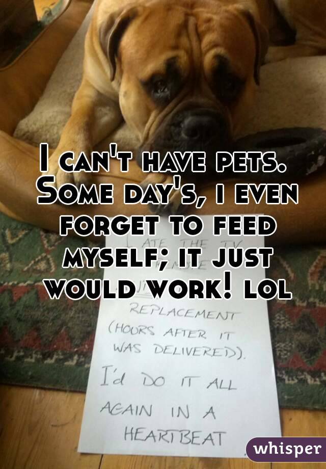 I can't have pets. Some day's, i even forget to feed myself; it just would work! lol