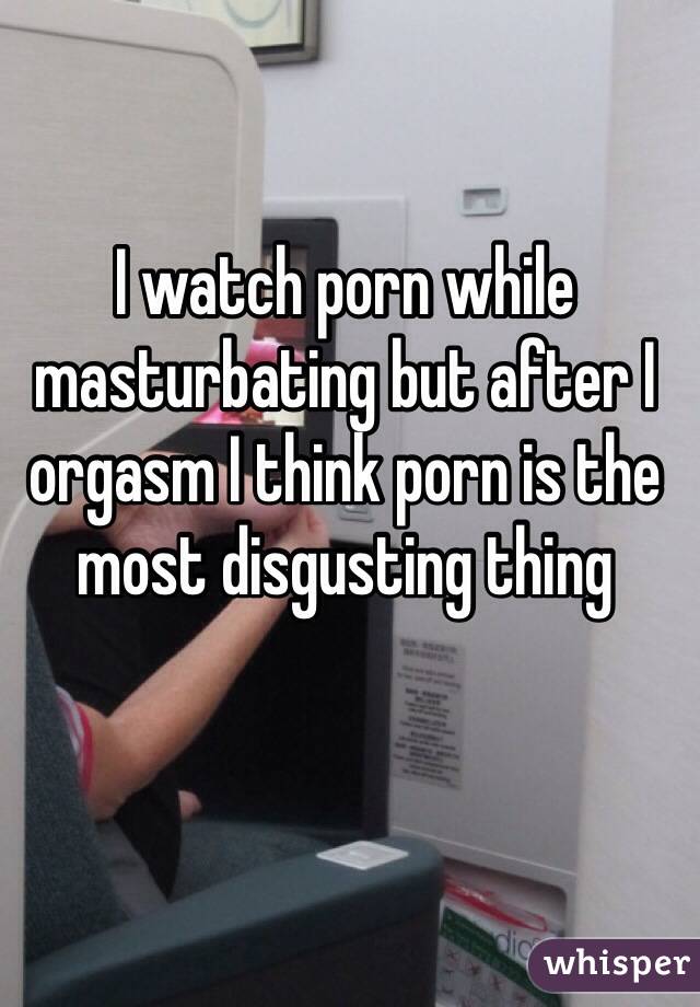 I watch porn while masturbating but after I orgasm I think porn is the most disgusting thing