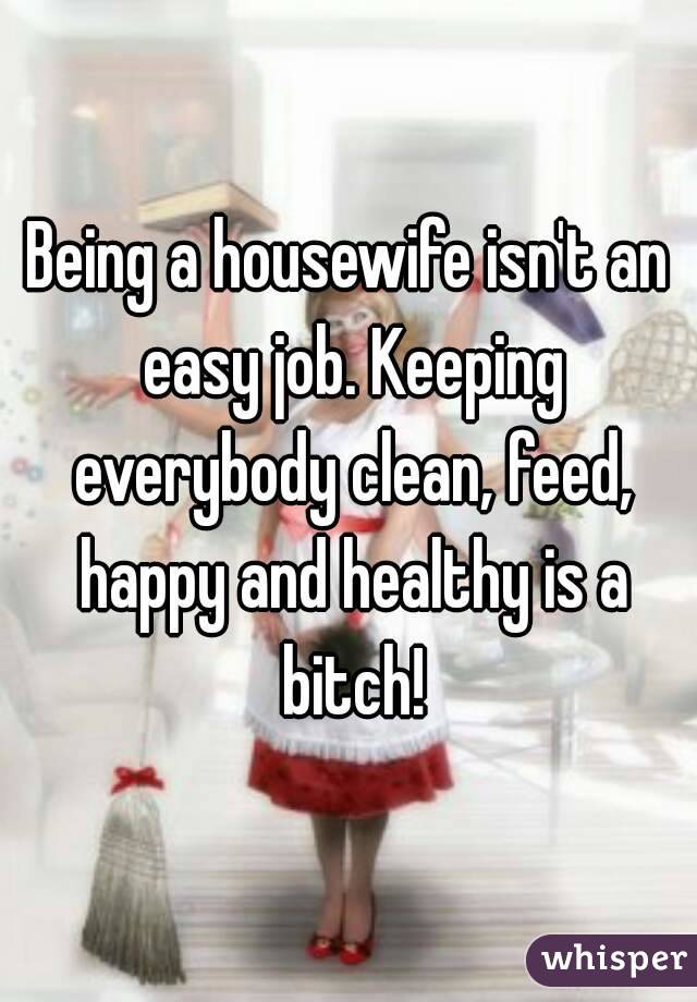 Being a housewife isn't an easy job. Keeping everybody clean, feed, happy and healthy is a bitch!