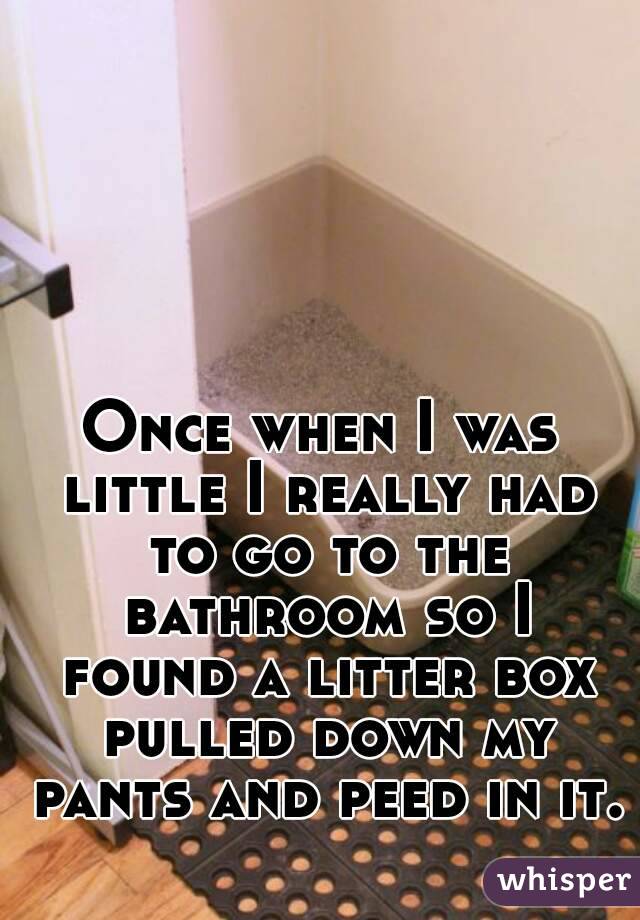 Once when I was little I really had to go to the bathroom so I found a litter box pulled down my pants and peed in it.