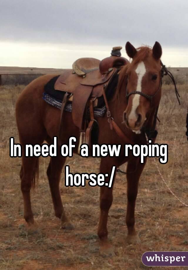 In need of a new roping horse:/