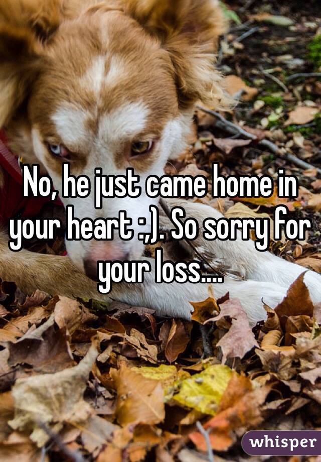 No, he just came home in your heart :,). So sorry for your loss....