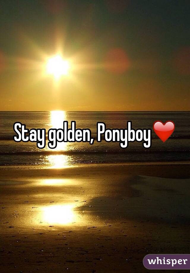 Stay golden, Ponyboy❤️