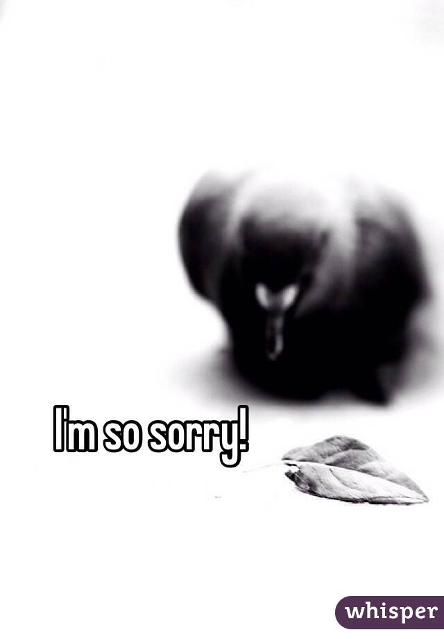 I'm so sorry! 