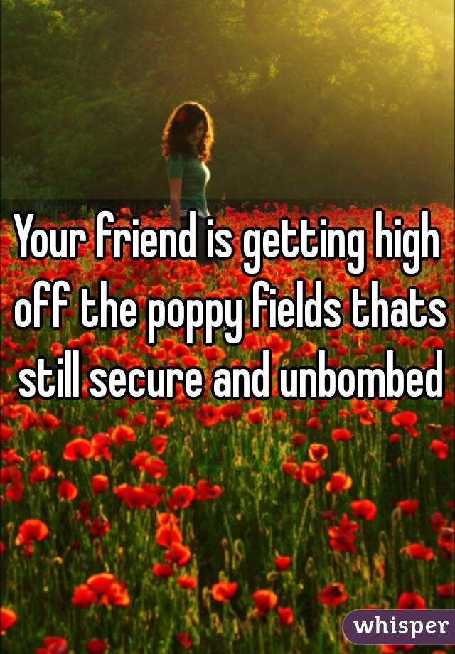 Your friend is getting high off the poppy fields thats still secure and unbombed