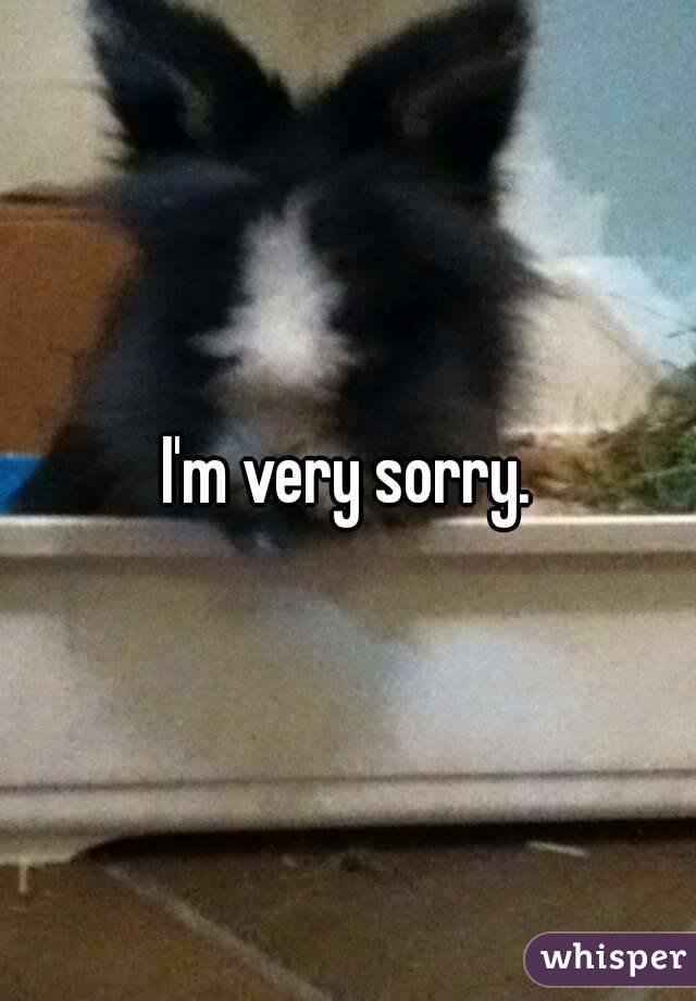 I'm very sorry.