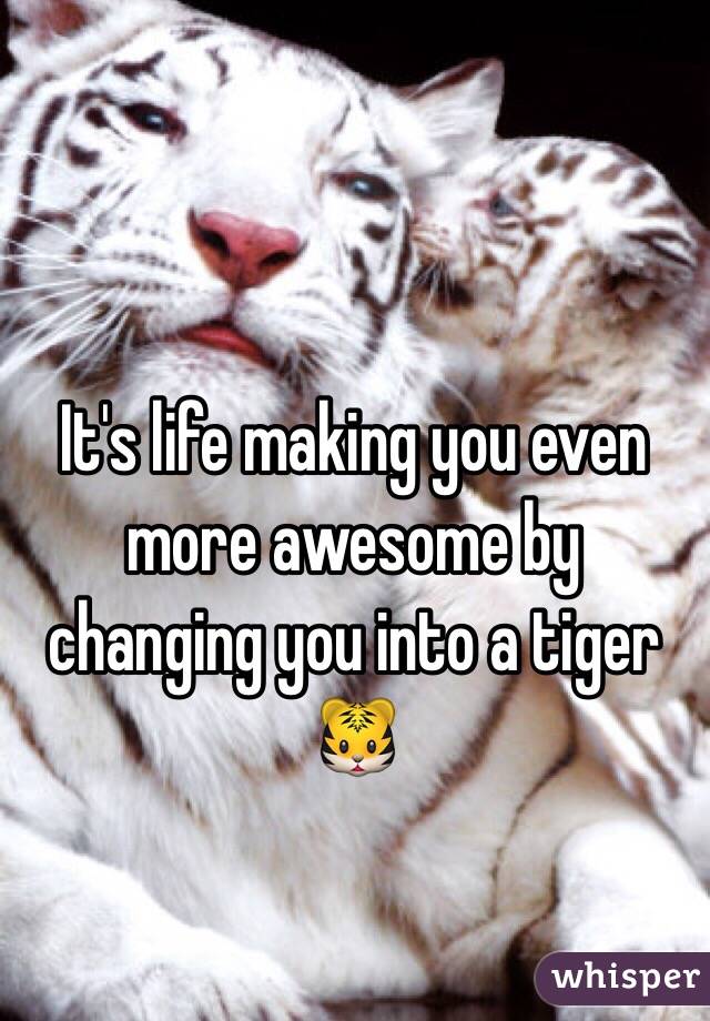 It's life making you even more awesome by changing you into a tiger 🐯