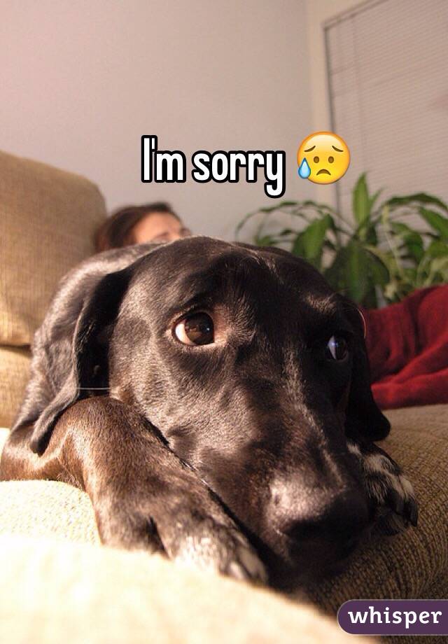 I'm sorry 😥