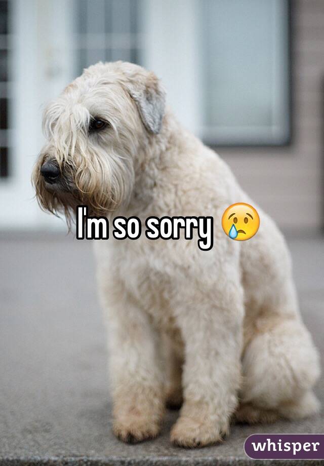 I'm so sorry 😢